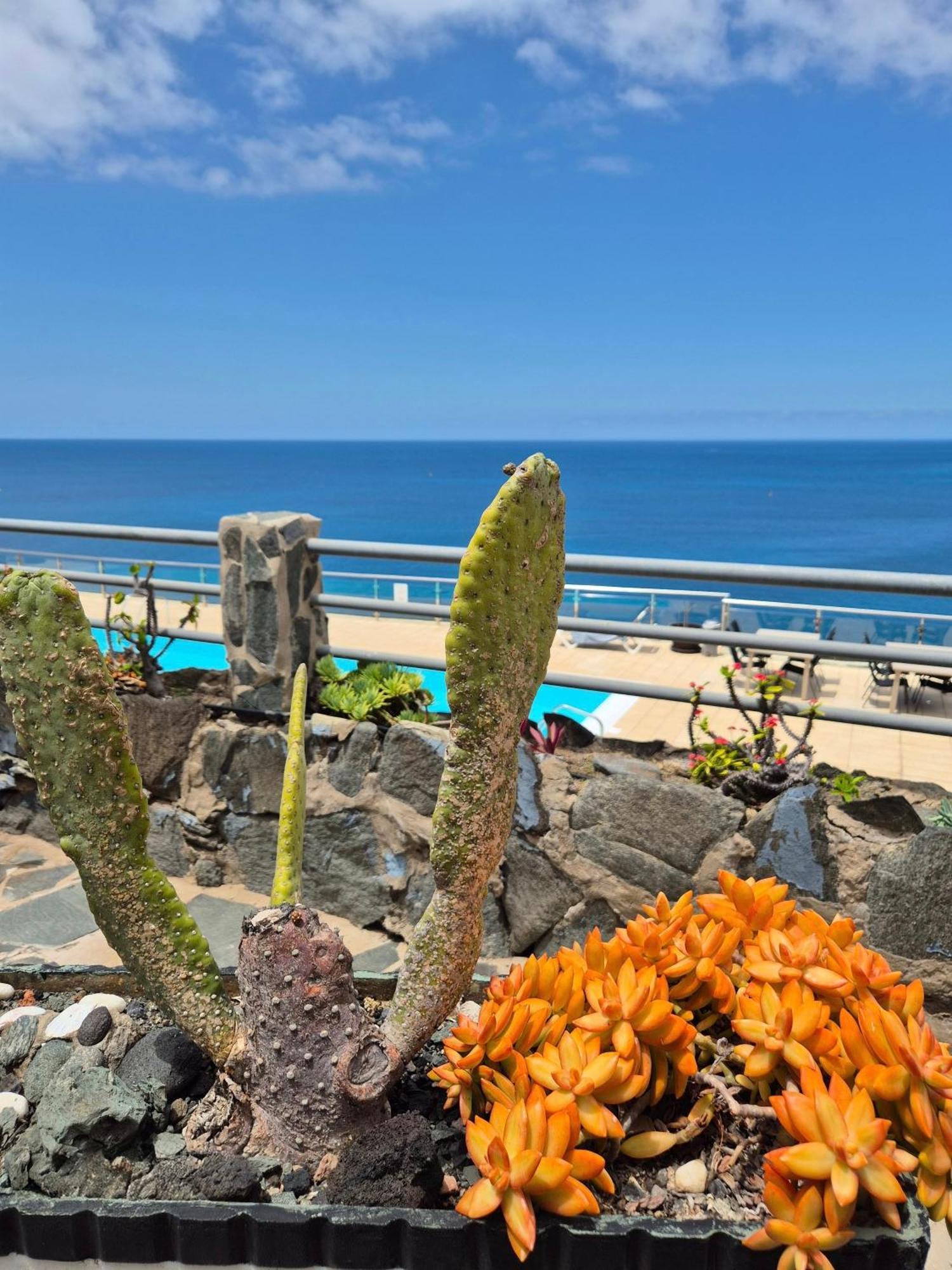 Very Romantic Seaview Apartment Patalavaca Mogan With Warm Pool ภายนอก รูปภาพ